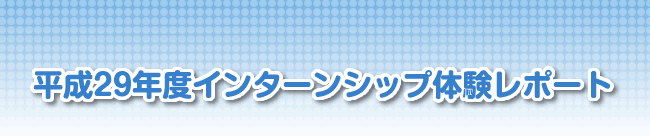 平成29年度インターンシップ体験レポート